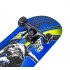 Скейтборд Scale Sports Displey King