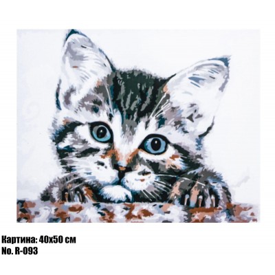 Картина по номерам Котенок (R093) 40 х 50 см