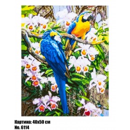 Картина по номерам Какаду (6114) 40 х 50 см