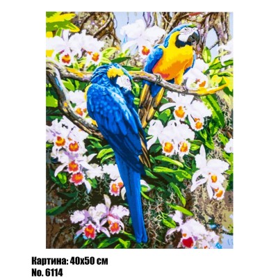 Картина по номерам Какаду (6114) 40 х 50 см