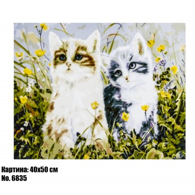 Картина по номерам Котята в траве (6835) 40 х 50 см
