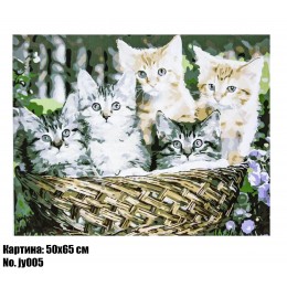 Картина по номерам Котята в лукошке (JY005) 50 х 65 см