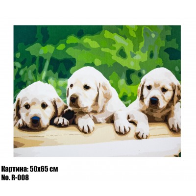 Картина по номерам Щенки (R-008) 50 х 65 см