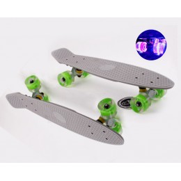 Пенни борд Fish Skateboards  Grey (светящиеся колеса)