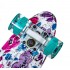 Пенни борд Fish Skateboards Poppy (светящиеся колеса)