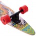 Лонгборд круизер Fish Skateboard Indian Лонгборд круизер Fish Skateboard Indian