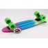 Пенни борд Fish Skateboards Градиент Green-Blue-Violet (матовое покрытие) Пенни борд Fish Skateboards Градиент Green-Blue-Violet (матовое покрытие)