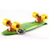 Пенни борд Fish Skateboards Green