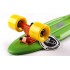 Пенни борд Fish Skateboards Green