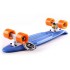 Пенни борд Fish Skateboards Blue Пенни борд Fish Skateboards Blue
