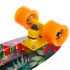 Пенни борд Fish Skateboards Tropic-Lilac Пенни борд Fish Skateboards Tropic-Lilac