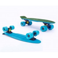 Пенни борд Fish Skateboards Twin Green-Blue (матовое покрытие)