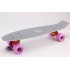 Пенни борд Fish SkateboardsTwin Grey-White (матовое покрытие) Пенни борд Fish SkateboardsTwin Grey-White (матовое покрытие)